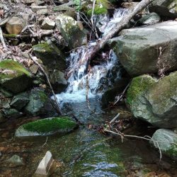 接近戦のイワナ釣り ～長良川水系～